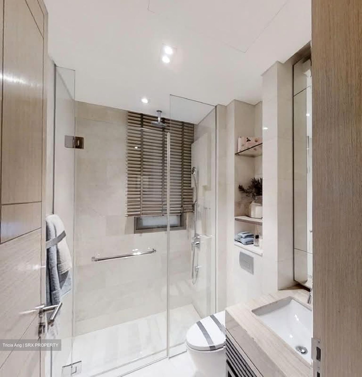 Bishopsgate Residences (D10), Condominium #582392861